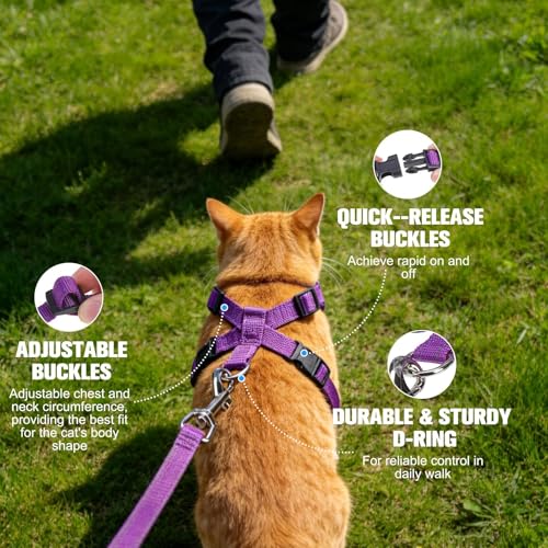 Escape Proof Cat Harness and Leash Set (Daisy / Small)