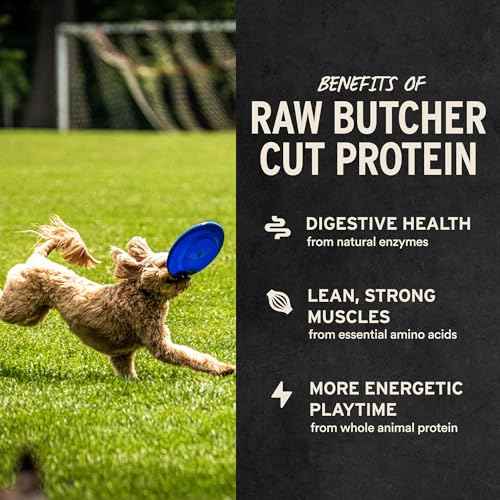 Freeze Dried Dog Treats (3 Ounce (Pack of 1))