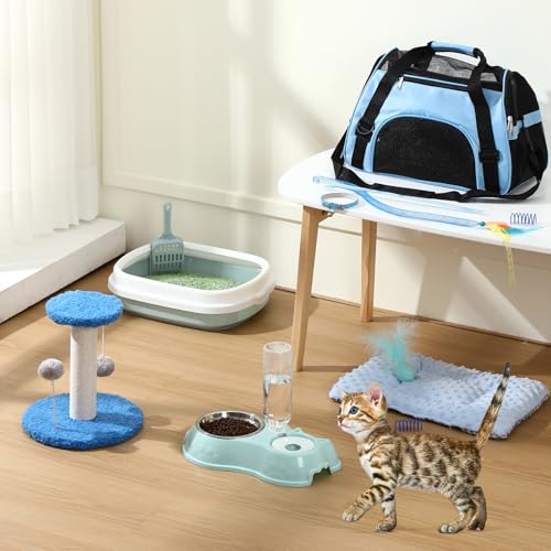 10 Pcs Kitten Starter Kit for Indoor (Classic / Medium / Blue)