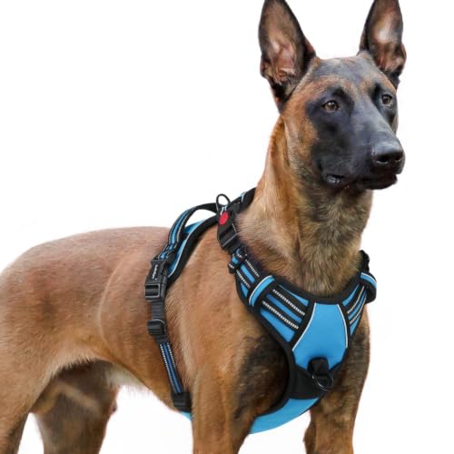 Dog Harness for Large (X-large / Sky Blue)