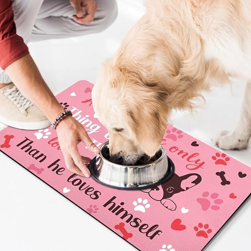 Pet Feeding Mat for Floors Waterproof Dog Mat for Food and Water Absorbent Quick Dry Non Slip mat for Cat Bowls (30"L x 17"W / Pink)