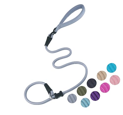 Slip Lead Dog Leash (1/2"×4ft / Grey)