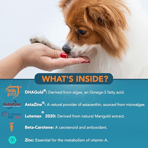 Eye Supplement for Dogs (1 Pack)
