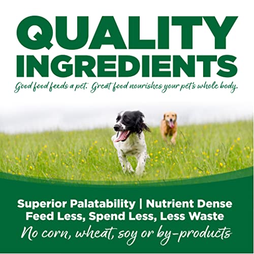 Dry Dog Food Turkey and Rice (26 Pound (Pack of 1))