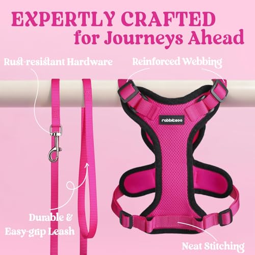 Cat Harness and Leash Set (Xxs / Rose Red)