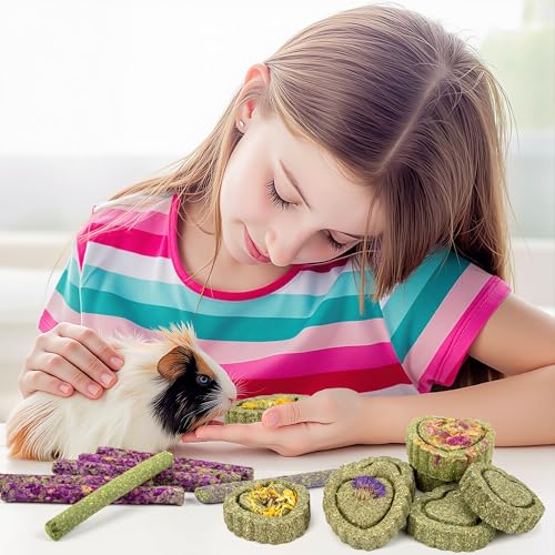 Timothy Hay Treats Rabbit Toys Bunny Guinea Pig Hamster Natural Chews for Teeth Handmade Rabbit Chews and Treats Chinchilla Rat Gerbil