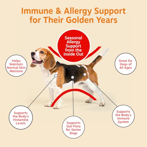 Senior Dog Allergy Chews (90 Count (Pack of 1) - Advanced)