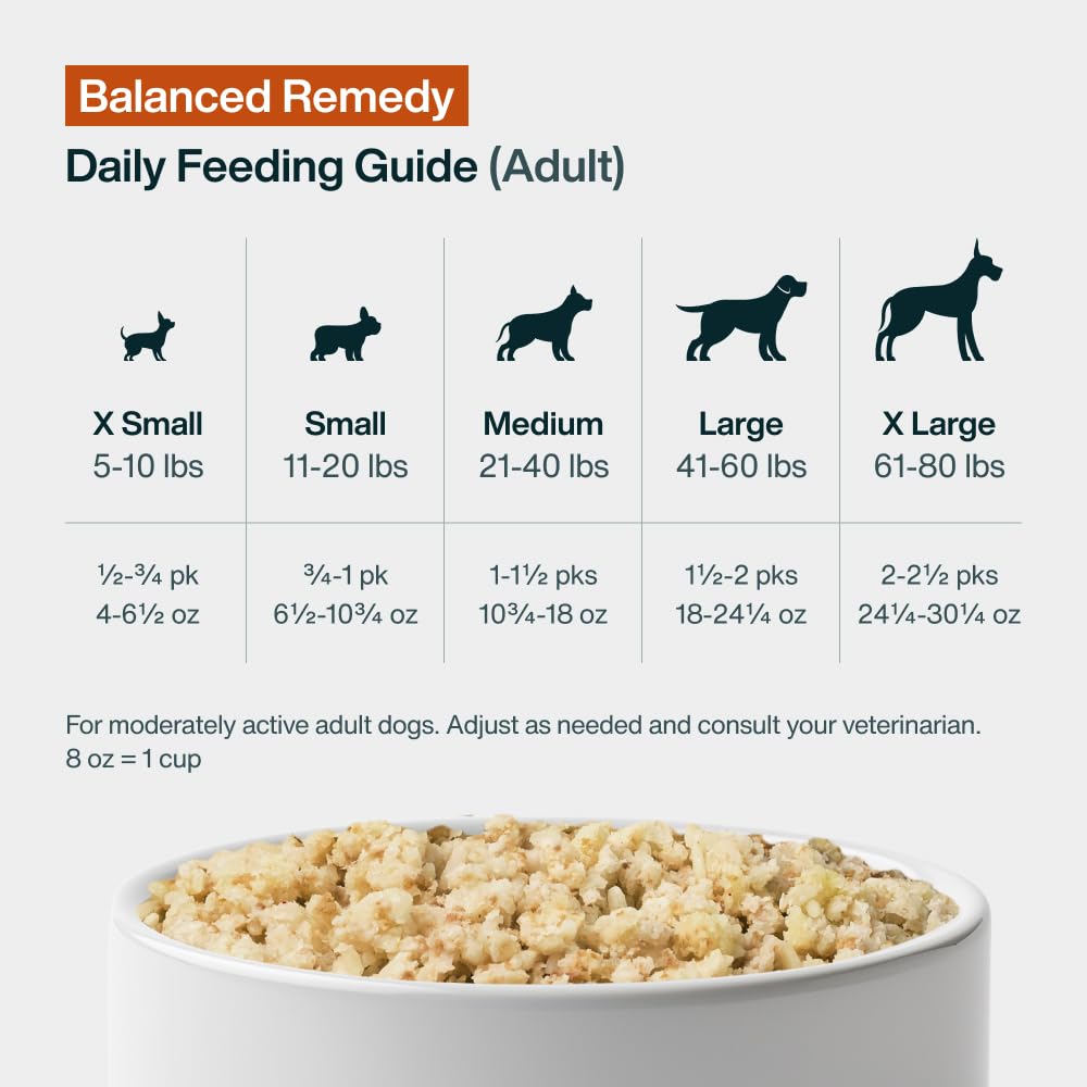Pantry Fresh Wet Dog Food (12.5 Ounce (Pack of 12))
