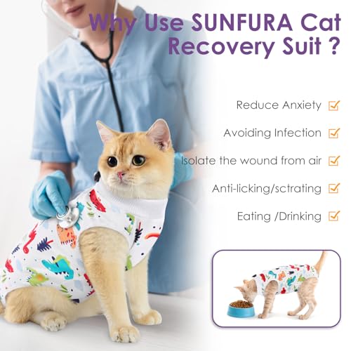 Cat Recovery Suit (Colorful Dino / Medium)