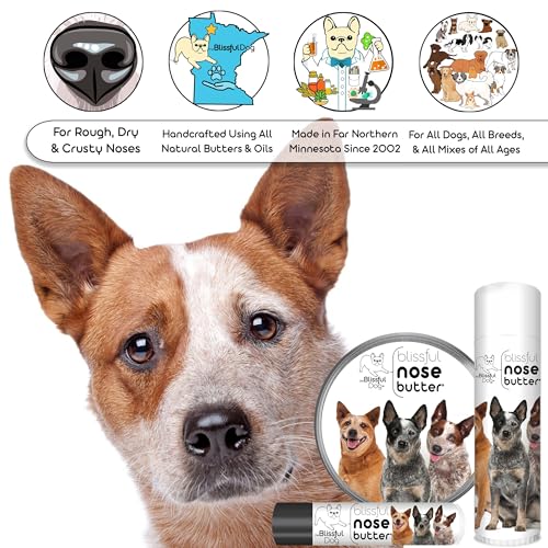 Australian Cattle Dog Unscented Nose Butter (Australian Cattle Dog / 8 Ounce)