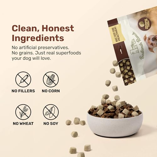 Superfood Nuggets (8 Ounce (Pack of 4))