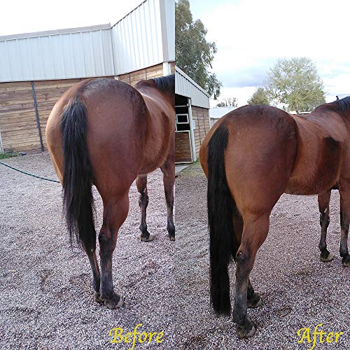 Horse Tail Extensions with Braided Horsehair Loop (3/8 Pound (28"-30") / Natural Black)