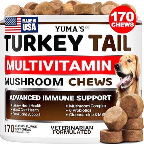 Turkey Tail Mushroom for Dogs (Multivitamin Mushroom Complex / 170 Chews)