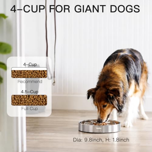 Slow Feeder Dog Bowl 4 (Spiral-2Pack / XL 4~4.5Cups)