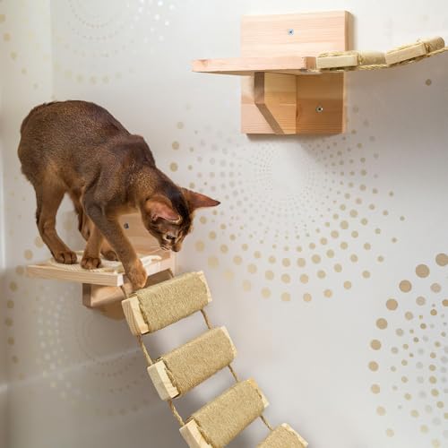 Adjustable Cat Ladder & Bridge (Upgraded Adjustable Natural Wood-20in / 20in)