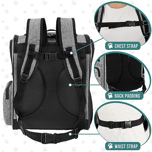 Dog Backpack Carrier for Cats (Heather Grey)