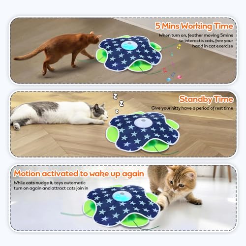 Interactive Cat Toys for Indoor Cats Kittens Mat Toy