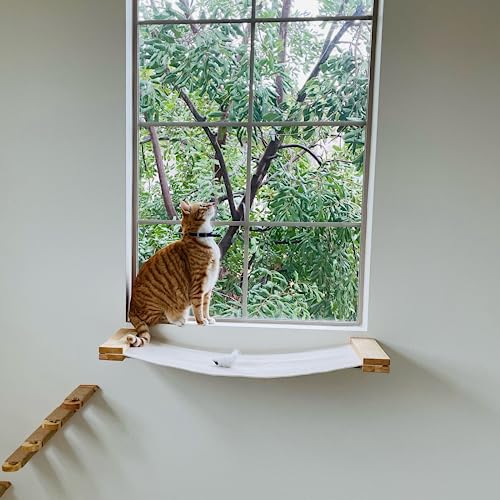 Cat Wall Hammock