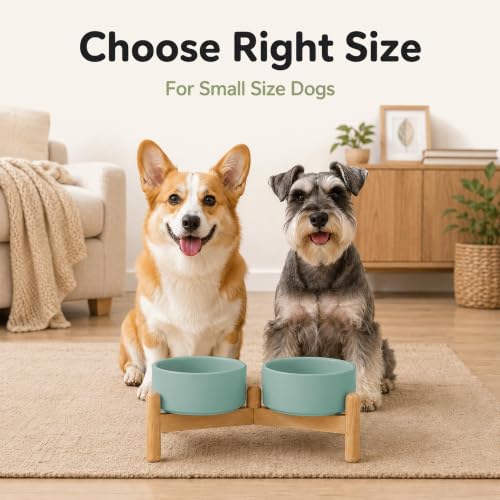 Ceramic Dog Bowls Elevated (Light Green)