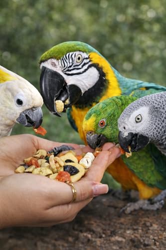 All Natural Garden Blend Bird Food for Parrots 2lb (2 Pound (Pack of 1))