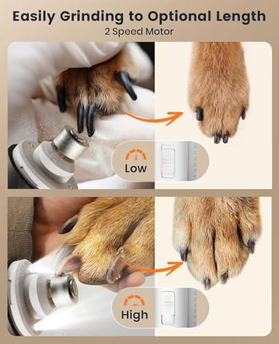 2 in 1 Dog Nail Grinder & Paw Trimmer Kit (2-in-1 Set)