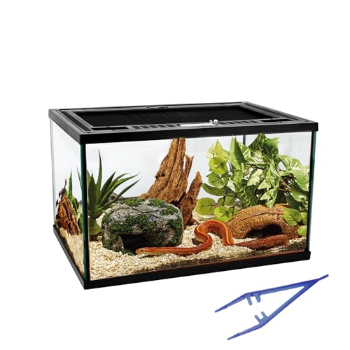 Reptile Glass Tank 16"x11"x9" Terrarium with Top Opening and Screen Ventilation for Leopard Gecko (16*11*9inch)