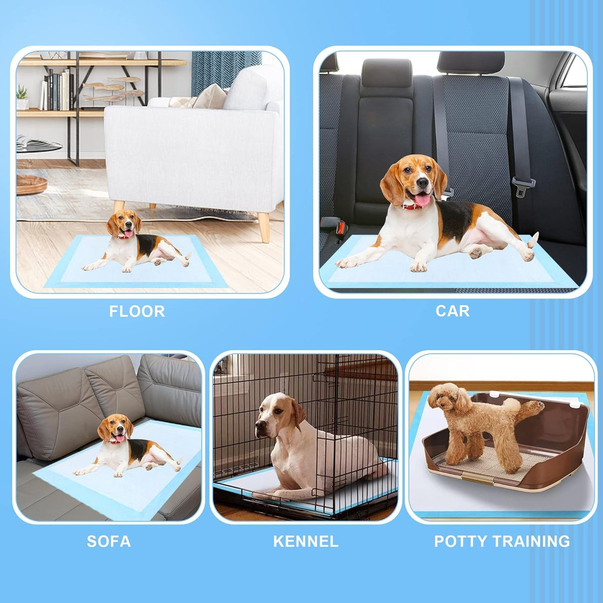 Extra Large Dog Pee Pads (31"x36")