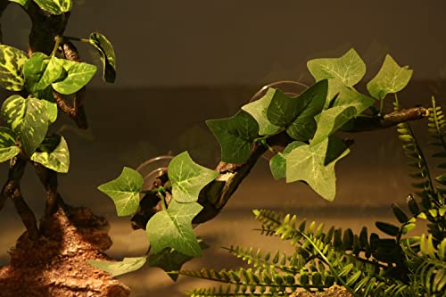 Reptile Corner Branch Terrarium Plant Decoration with Suction Cup for Amphibian Lizard Snake Climbing (Climbing Branch)