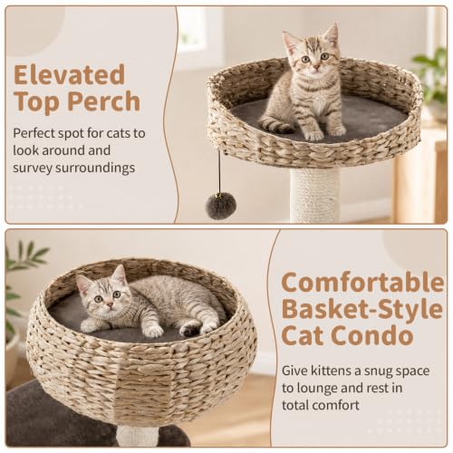 41 Inch Modern Cat Tree for Indoor Cats (41 inches / Coffee)