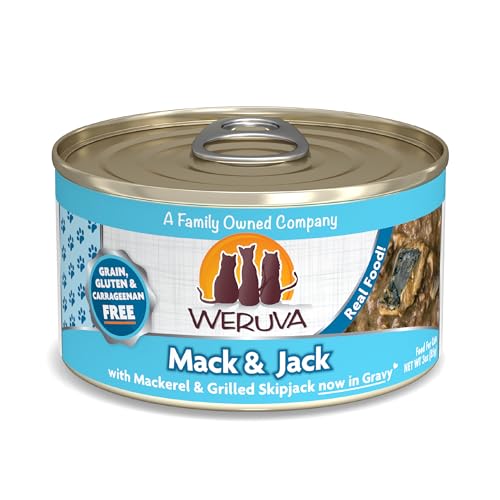Classic Cat Food (3 Ounce (Pack of 24))