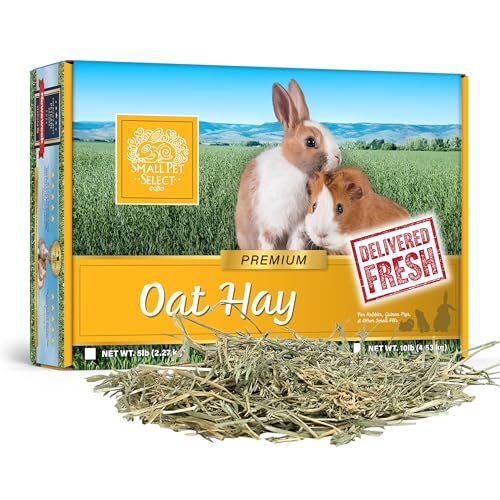 Oat Hay for Rabbits (5 Pound (Pack of 1))