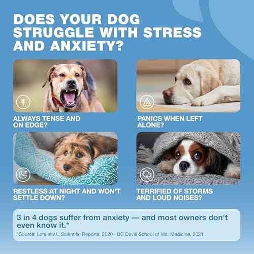 Hemp Calming Chews for Dogs Anxiety Relief (180 count / Beef Flavor Calming Chews)