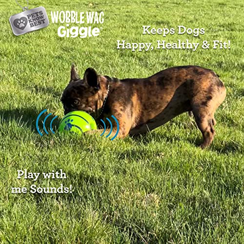 Ball Interactive Dog Toy (Original)