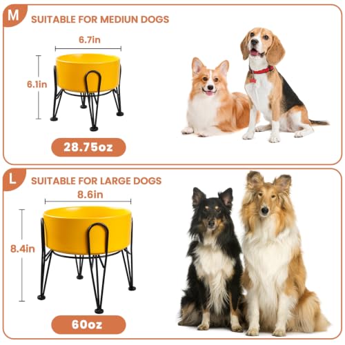 Elevated Dog Bowls (Yellow / 7.6 Cups | 2 Pack | For Large Dogs)