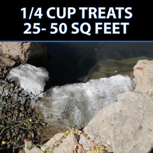 AlgaeOff String Algae Killer for Pond & Water Garden (8 Pounds)