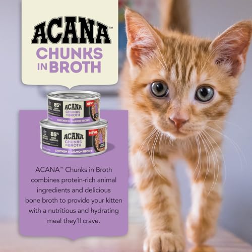Chunks Wet Cat Food Kitten Recipe 3oz Cans (3 Ounce (Pack of 12))
