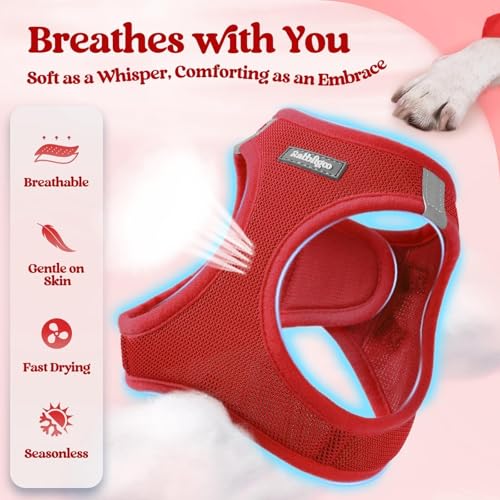 Dog Harness Small Sized and Leash Set (Red / Xs (chest: 13.3 - 15.5"))