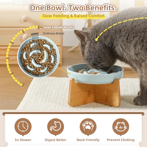 Elevated Ceramic Slow Feeder Cat Bowl (Blue Elevated (Bamboo) / 3.7"H Elevated (Bamboo))