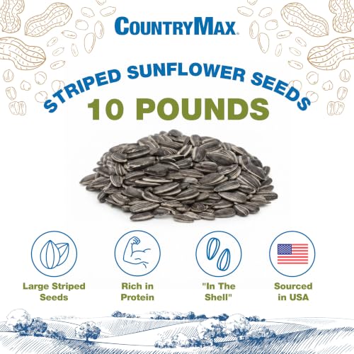 10LB Striped Sunflower Seeds for Birds (Striped Sunflower / 10 Pound (Pack of 1))
