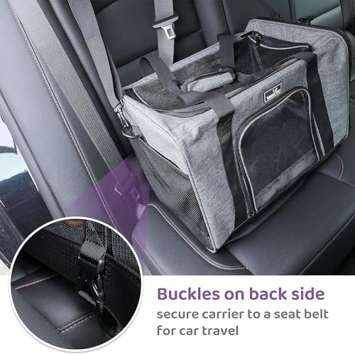 TSA Approved Pet Carrier for Small Cats and Dogs (17.7"L x 11.0"W x 8.3"H / 1.0 Black)