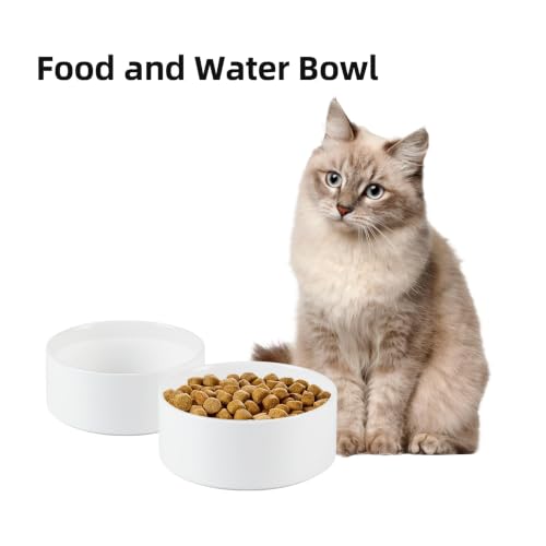Ceramic Dog Bowls (Matte White)