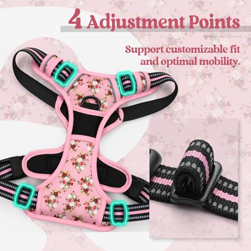 Dog Harness No Pull for Large Dogs with 2 Leash Clips (Large / Pink Rose)
