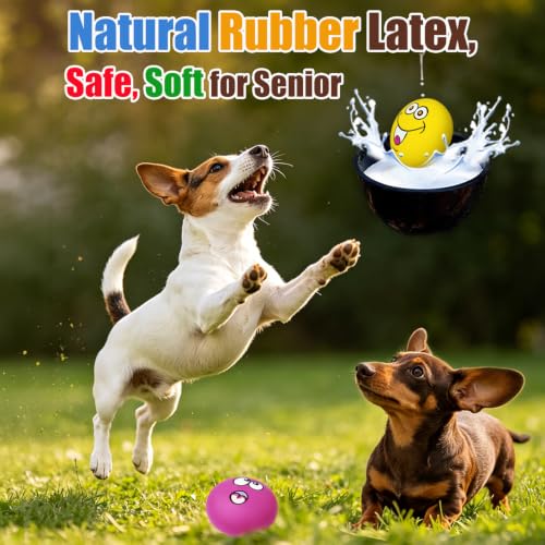 Latex Squeaky Dog Toys for Small Dogs (Burger Shape Assorted Color / Small)