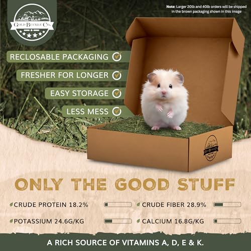Premium Alfalfa Hay for Rabbits & Guinea Pigs (40 Pound (Pack of 1))
