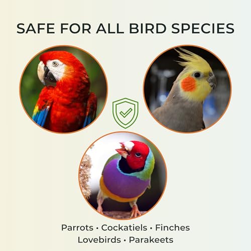 Bird Bath Spray for Parrots & All Birds