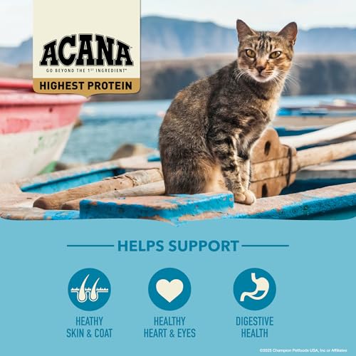 Grain Free Dry Cat Food Wild Atlantic Recipe 10lb Bag (10 Pound (Pack of 1))