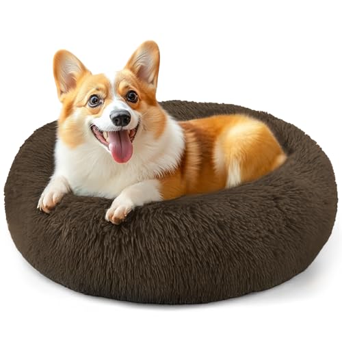 28in Large Dog Bed (Coffee / 28.0"L x 28.0"W x 8.0"Th)