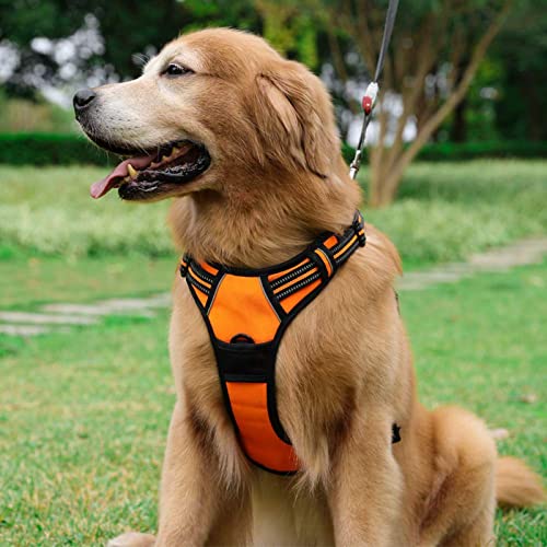 Dog Harness No Pull for Large Dogs with 2 Leash Clips (Large / Orange)