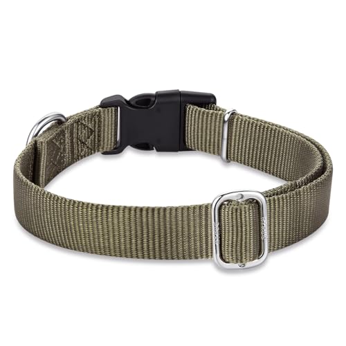 Green Dog Collar for Medium Dogs (Medium / Military Green)