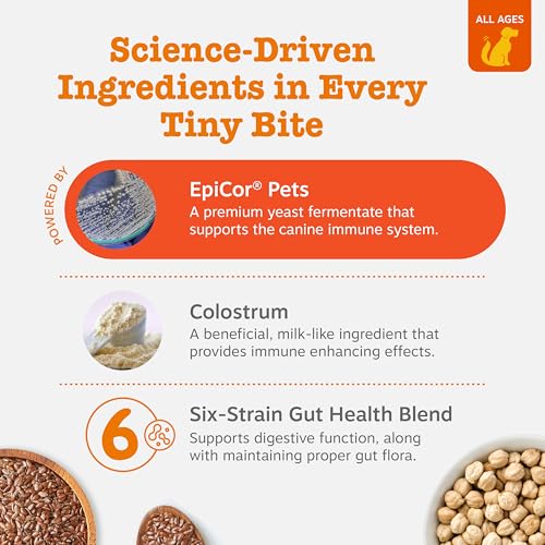 Mini Dog Allergy Chews (90 Count (Pack of 1) - Mini)